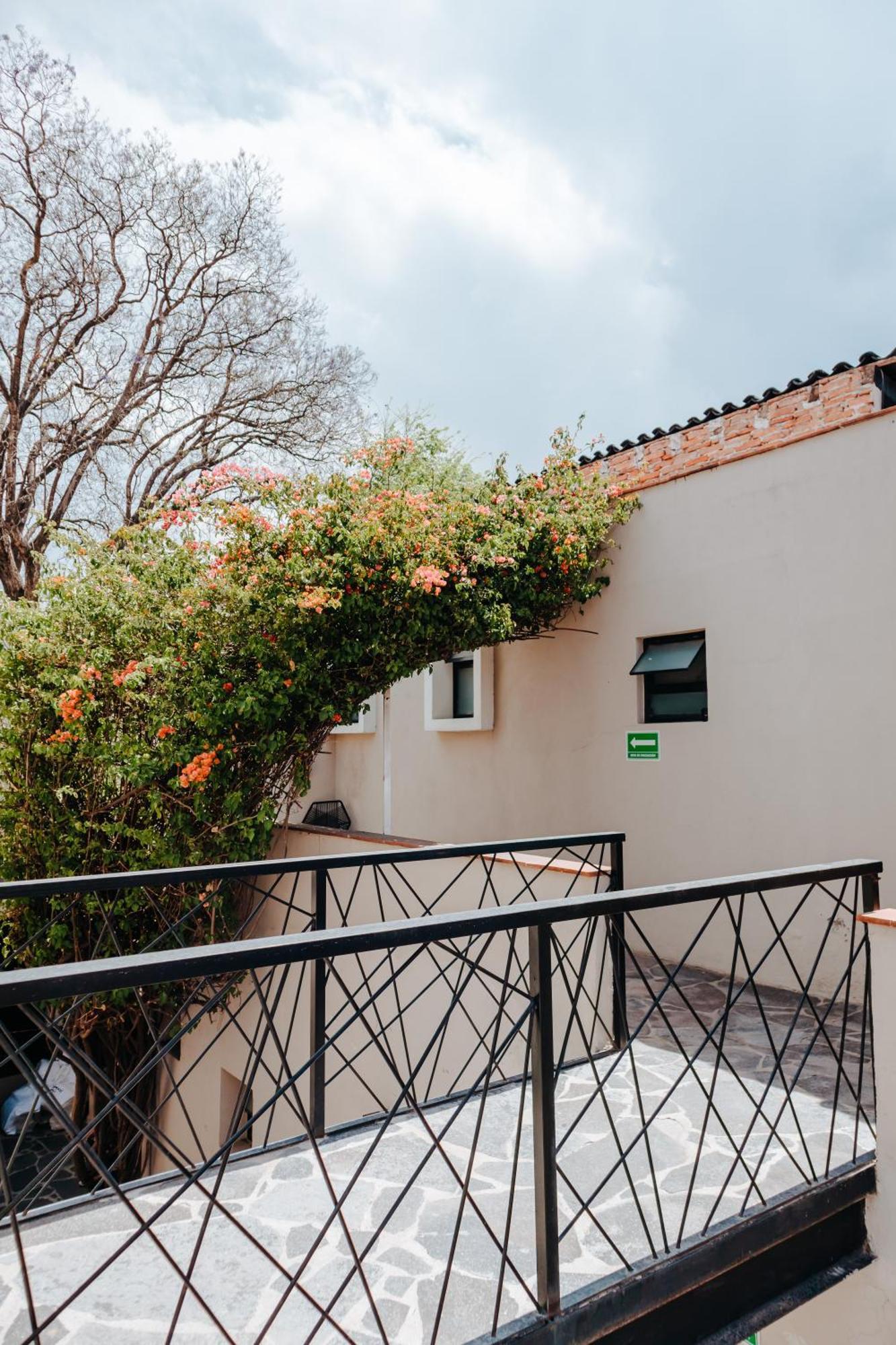 Hotel Maria Bonita San Miguel de Allende Dış mekan fotoğraf